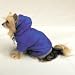 poodle26 - Casual Canine Eskimo Jacket Blue XSmall