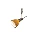 LBL Lighting HG275AMBZ121A35MPT MiniDome Apollo Swivel