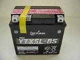 YTX5L-BS