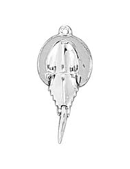 Horseshoe Crab Charm