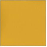Crdsk 12''X12'' Bazzill 25/PK-Curry Spice
