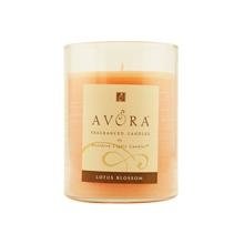 LOTUS BLOSSOM SCENTED - ONE 3x4.5 inch GLASS PILLAR SCENTED CANDLE. BURNS APPROX. 70 HRS.