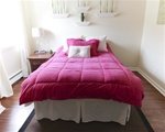 College Plush Comforter - Pink