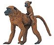 Baboon Female with Baby