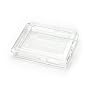 iAUDIO Plastic Case Clear for D2