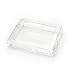 iAUDIO Plastic Case Clear for D2
