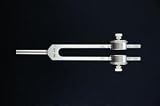 Adjustable Tuning Fork