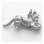 Cat Charm
