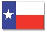 Texas Nylon flag 4' x 6'