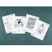 Turtox Human Anatomy & Physiology Set of 23 Key Cards & Quiz Masters