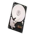 Hitachi Ultrastar A7K1000 - Hard drive - 1 TB - internal - 3.5 - SATA-300 - 7200 rpm - buffer: 32 MB