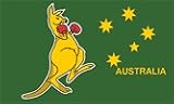 Boxing Kangaroo Flag