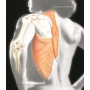 Human Anatomy- Text Only by Frederic H. Martini, Michael J. Timmons, and Robert B. Tallitsch