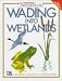 Wading into Wetlands (Ranger Rick's Naturescope.)