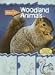 Woodland Animals (Draw It!) by Patricia Walsh ISBN 1403489335