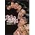 ��l�̃R���\�� [DVD]