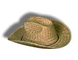 STRAW COWBOY HATS (12 Per Pack)