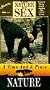 Nature of Sex: A Time & A Place [VHS]