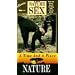 Nature of Sex: A Time & A Place [VHS]