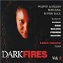 Dark Fires, Vol.2