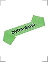 Dynaband - Purple - workout resistance band