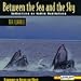 Between the Sea & the Sky: The Whale