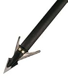 HORTON REPLACEMENT BLADE -- 6-PACKFor: BT100