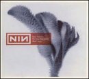 Nine Inch Nails - The Day the World Went Away