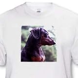 Dogs Dachshund - Black Dachshund - T-Shirts