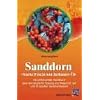 Sanddorn: "Starke Frucht und heilsames �l". Ein umfassendes Handbuch �ber die nat�rliche Heilung und Pflege mit Saft und �l aus den ... Pflege ... Pflege mit Saft und �l aus den Sanddornbeeren