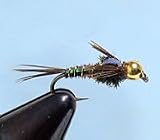 Bead Head Flashback Pheasant Tail Nymph Size: 14