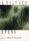 A Silence Opens: Poems