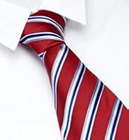 Collezione Sartorial Pure Silk Striped Tie