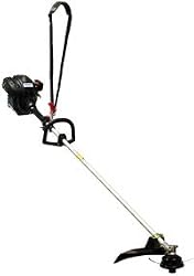 Briggs & Stratton Fource 4-cycle 34cc Straight Shaft String Trimmer