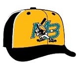 Minor League Baseball Cap - Mrytle Beach Pelicans Alt 1 Cap by New Era