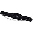 Grizzly Fitness Nylon Dipping Belt Grizzly Fitness Nylon Dipping Belt
