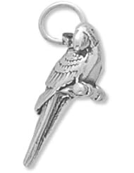 Scarlet Macaw Charm