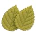 Marzipan Rosenblätter, grün, groß - 25 Stück