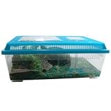 Reptile Ranch with Lid - Rectangle - Large