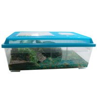 Buy Reptile Ranch with Lid - Rectangle - Large by Lee's Aquarium & Pet Products