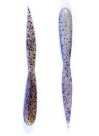 Vineyard Eel 5 Eel Assassin EA49329