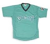 MInor League Baseball Portland Sea Dogs V Neck Adult Jersey