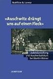 'Auschwitz dr&auml;ngt uns auf einen Fleck' - Judendarstellung und Auschwitzdiskurs bei Martin Walser - Matthias N. Lorenz