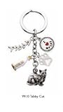 Tabby Kitty Cat - 5 Charms Keychain - Gift for Cat Lover