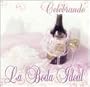 Celebrando Boda Ideal