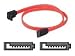 Belkin Components - Serial Ata/sas Cable 18 In