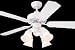 Electronics : Monte Carlo 5WF42WH Weatherford II White Outdoor Ceiling Fan 42