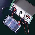 Deluxe Electrophoresis Power Supply