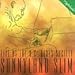 Sunnyland Slim, Live at the D.C. Blues Society, 発売中