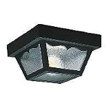 7569-32 - SeaGull Lighting Two-Light Outdoor Ceiling Fixture